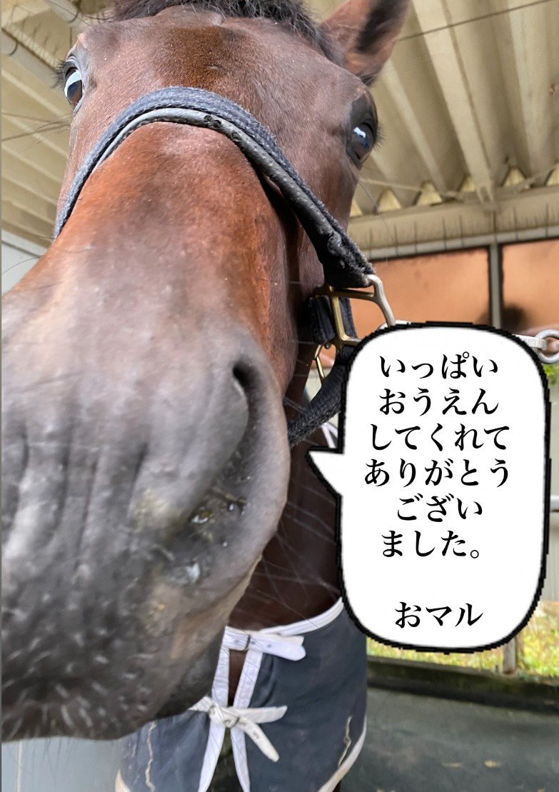 Hey✧pooo---さま♡専用ページ せりな🐰🍓 on X