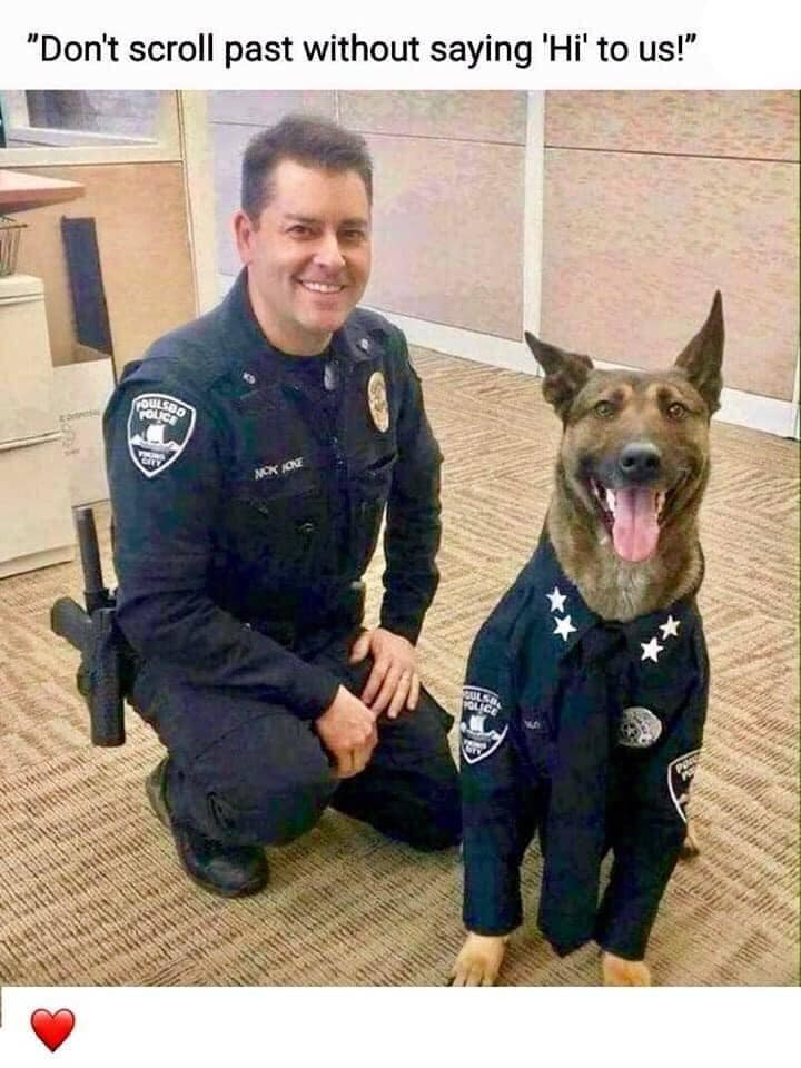 Dog Lovers tweet media