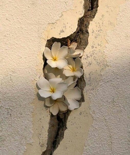 " حين تشعر أن المنافذ جميعها مغلقة، سيصل إليك لطف الله من المنفذ المستحيل " 

صباحكم تيسير وفلاح وبشائر خير بإذنه سبحانه ..