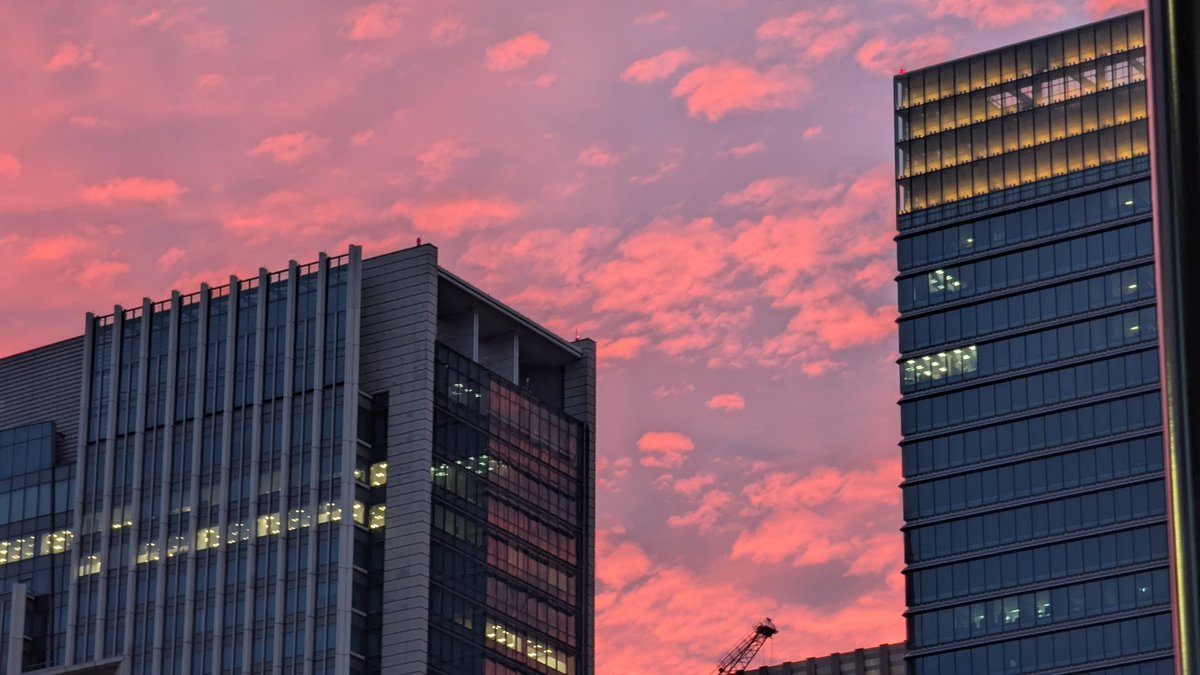 GM! 
Left Tokyo 24 hours ago and missing it already 🥲