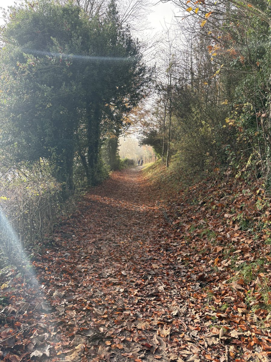 fredsirieix1's tweet image. Sunday morning walk in the garden of England. Last rays of sunshine before the winter bites ☀️ 16.2 kms in 3 hours 🏃