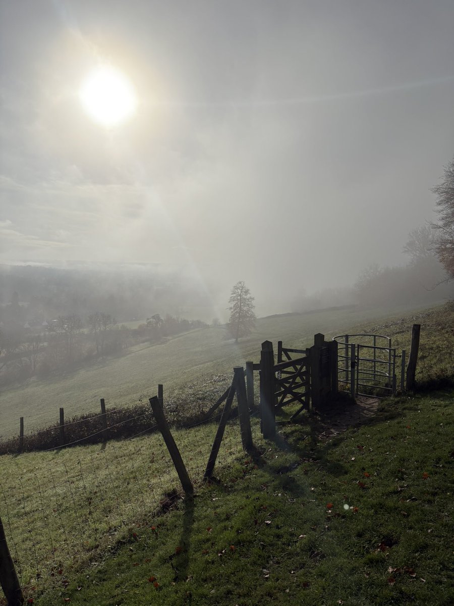 fredsirieix1's tweet image. Sunday morning walk in the garden of England. Last rays of sunshine before the winter bites ☀️ 16.2 kms in 3 hours 🏃