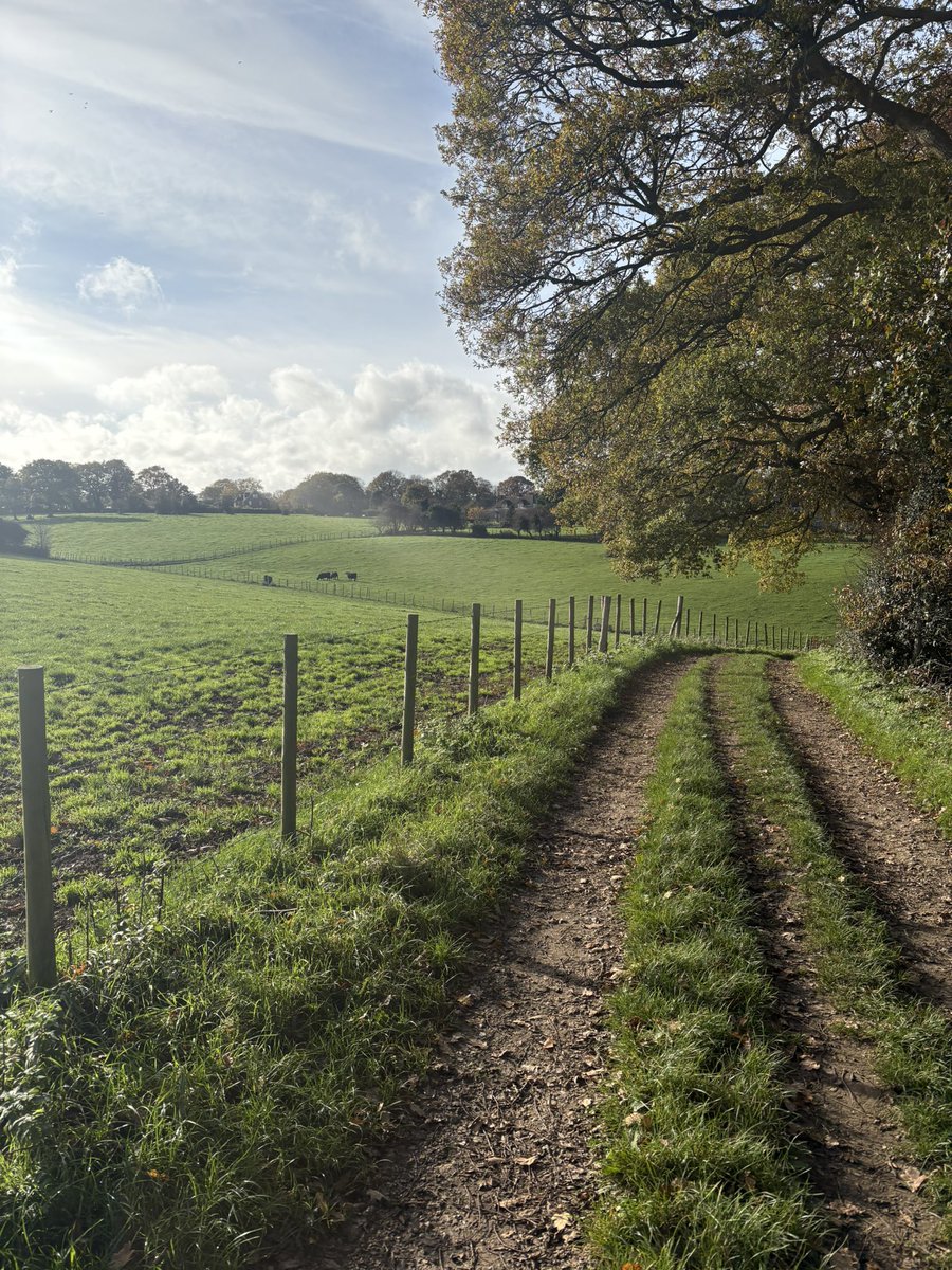 fredsirieix1's tweet image. Sunday morning walk in the garden of England. Last rays of sunshine before the winter bites ☀️ 16.2 kms in 3 hours 🏃