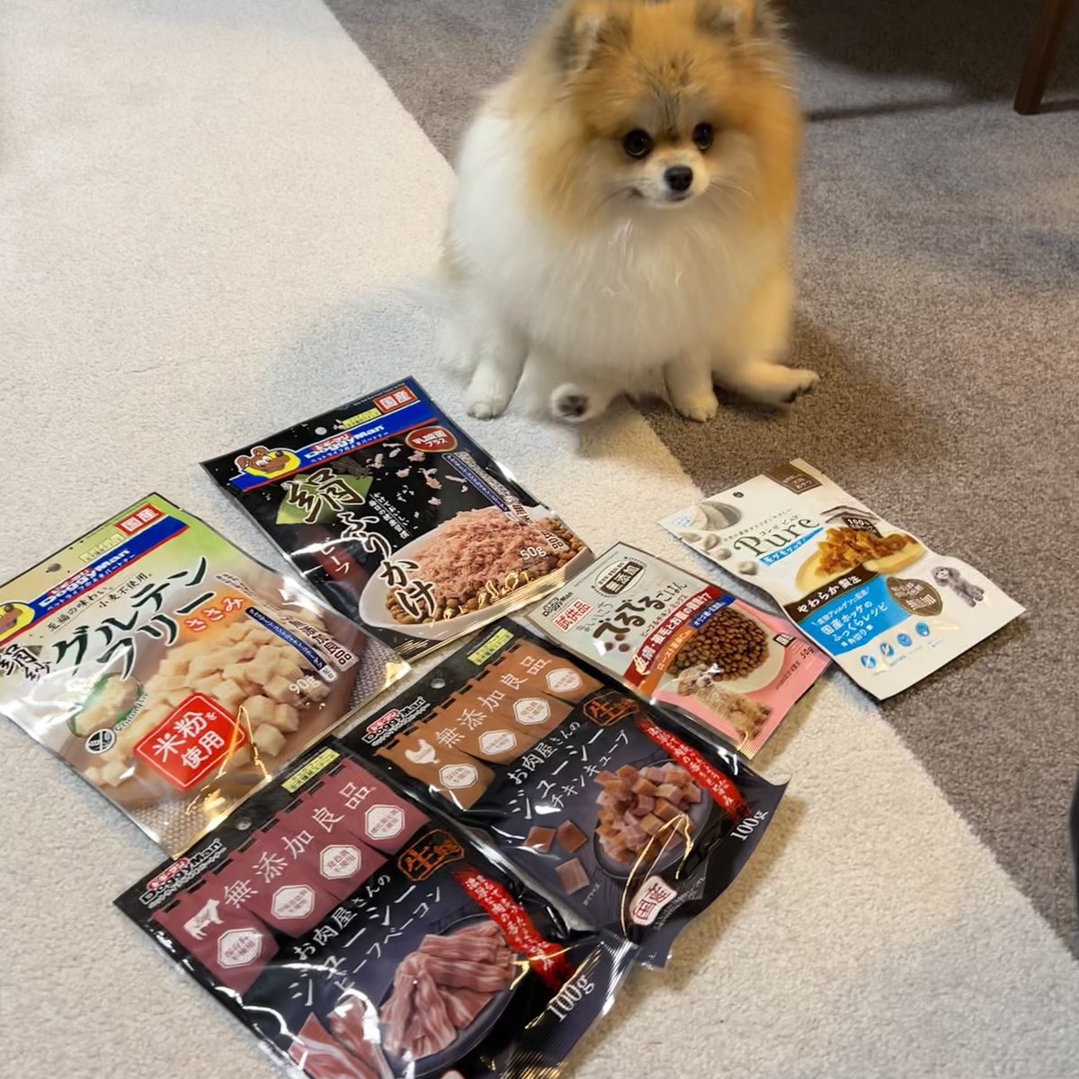 はるこ🐶ポメラニアン (@ha08ru01ru) / Posts / X