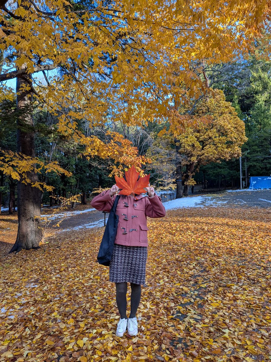 なおこ (@nyaokon2) / Posts / X