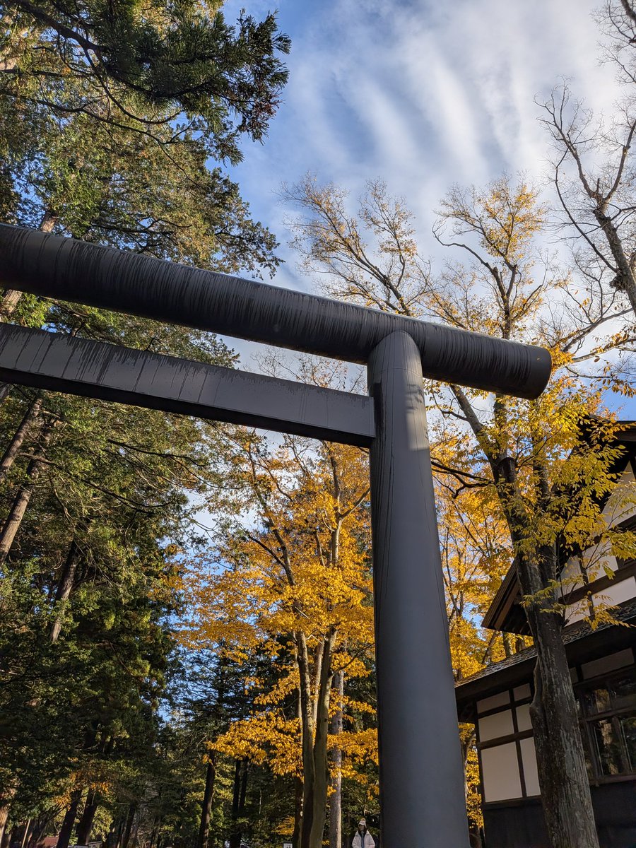 なおこ (@nyaokon2) / Posts / X