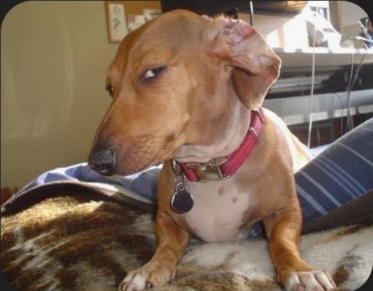 Gm
(Los estoy viendo asi asi hmmmmmmm)