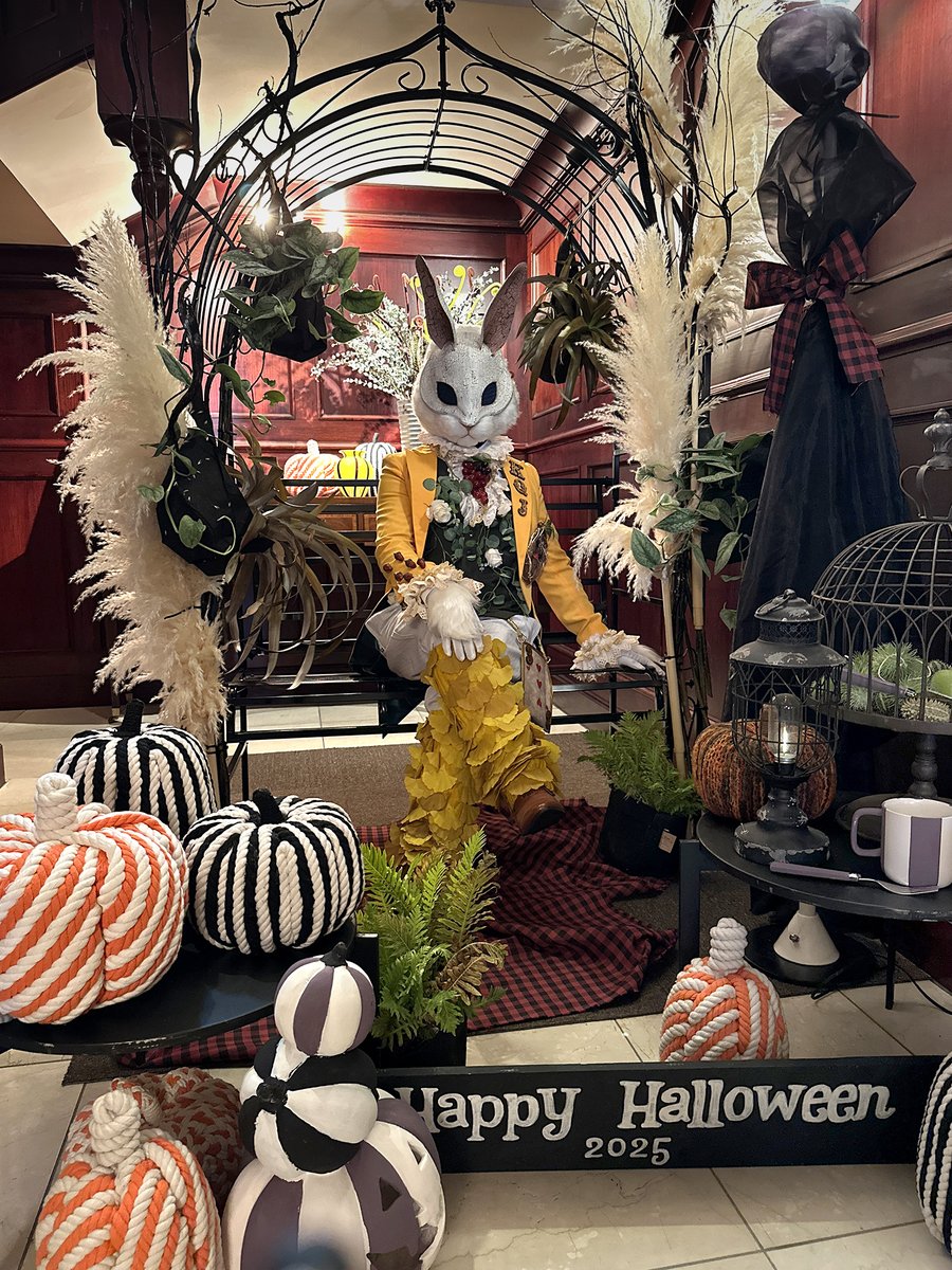 パレードに参加する予定だったのですが、雨天中止だと勘違いして参加を逃してしまい残念でした。スタッフさんも仮装されていて、あちこちにハロウィン装飾がしてあり素敵な空間でした