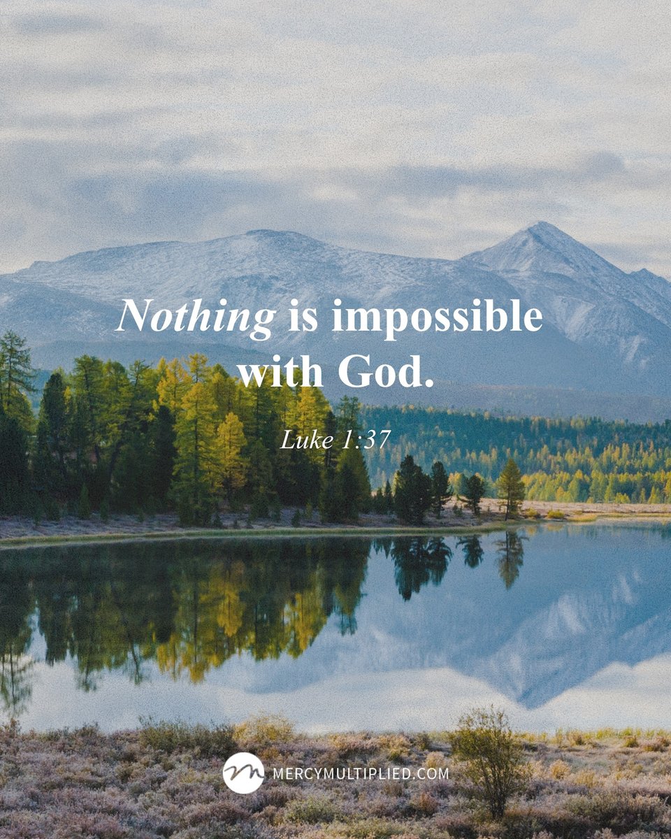 Mercy Multiplied tweet media