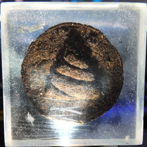 How does value get created?

Not through rarity
Not through usefulness
Not through objective qualities at all

Value is created when enough people agree that something matters

A piece of paper becomes a Dollar only because we collectively pretend it has power

A JPEG becomes a