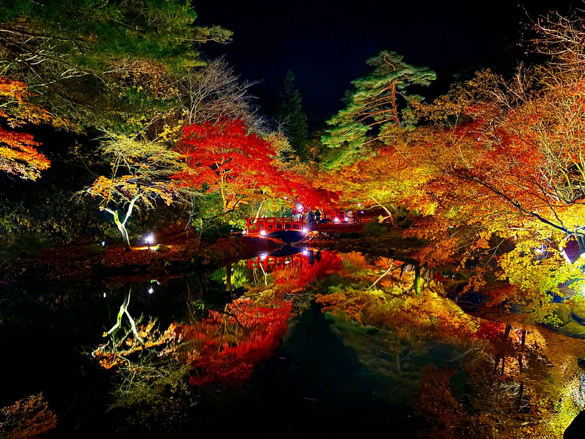 《コメントの方 》専用 になります 【ガーデンパーティー】 MADE IN JAPAN - 日本大好き❣ Community on X - 39 Members