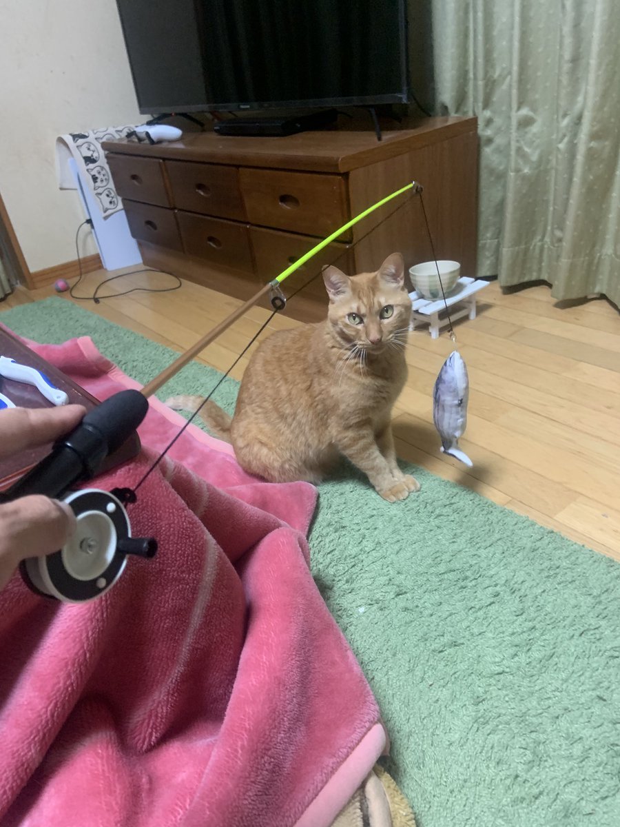 のりちゃん (@noritsubo412766) / Posts / X