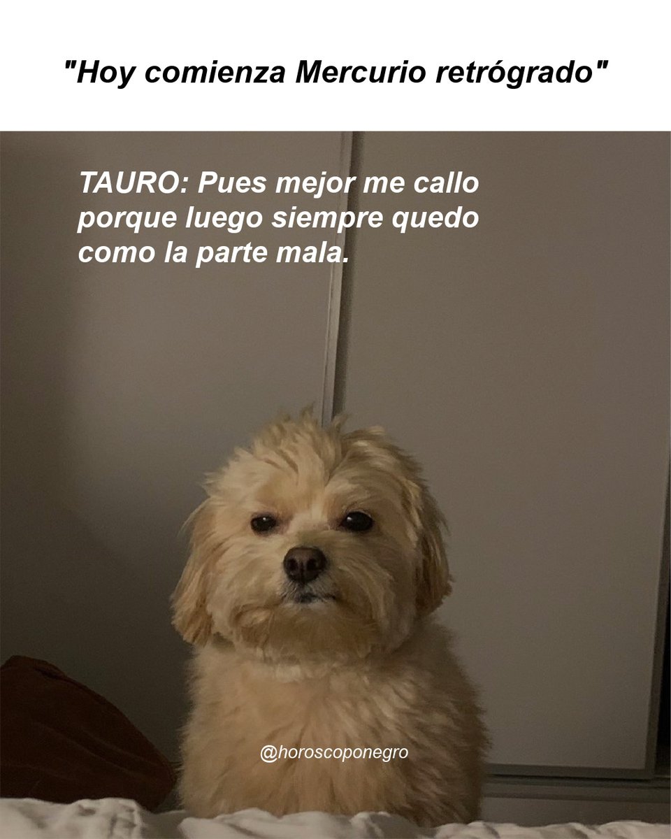 Si pensabas que el año ya te había puesto a prueba, prepárate, Tauro 😅
