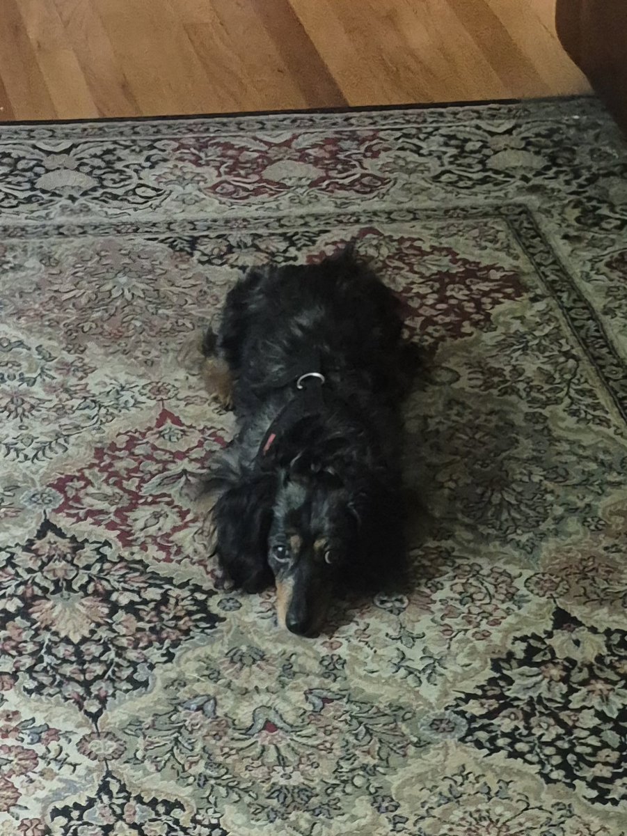 Jan Lyle-Chesnutt tweet media