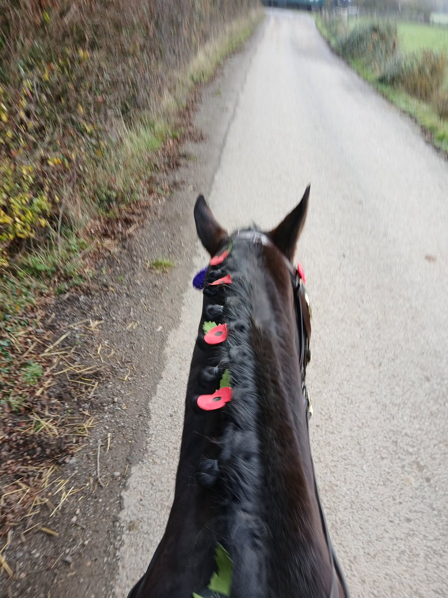Today we marked #RemembranceDay in our village. Phil as a #WW1 trooper on the superb Charlie, &amp;  me as #WW2 women's Land Army (there was a huge depot a few miles away) on Daxi. It was an absolute privilege to read the roll of honour and exortation.
