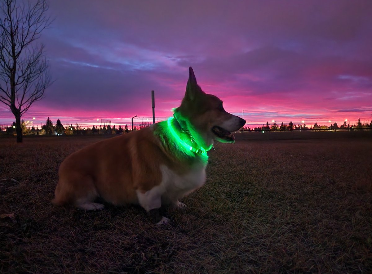 Rockyscrazylife's tweet image. Beautiful way to start a Sunday!