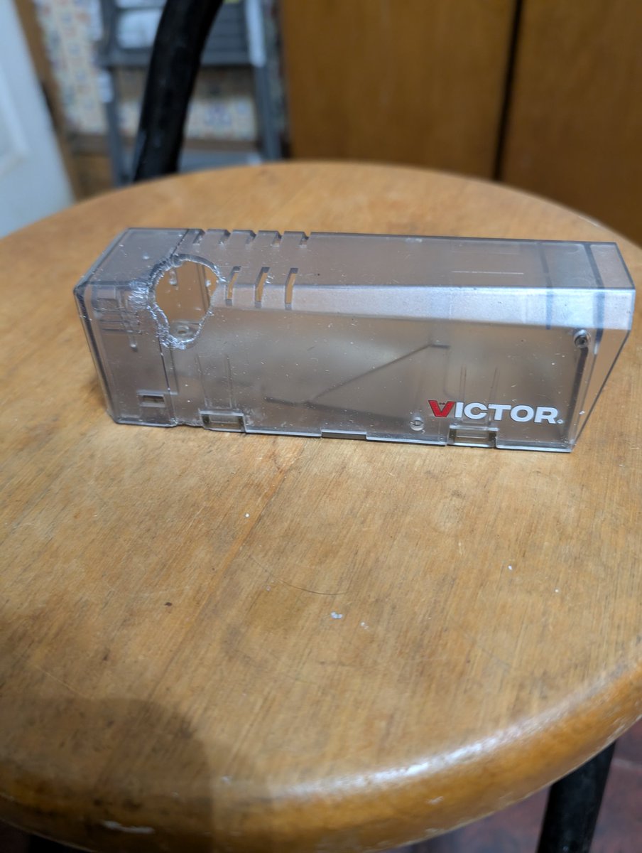 mcfrontrun_eth's tweet image. To the mouse: I ain&apos;t mad at you, respect homie. 👏👏👏, But this ain&apos;t over, I&apos;ma step up my trap game. Get ready, Mickey...

To @VictorPest : Repair suggestions? Duct tape?
Should I be concerned? 
Am I dealing with some sort of mutant/demon super-mouse? 
#TrapHouse #rent_a_cat