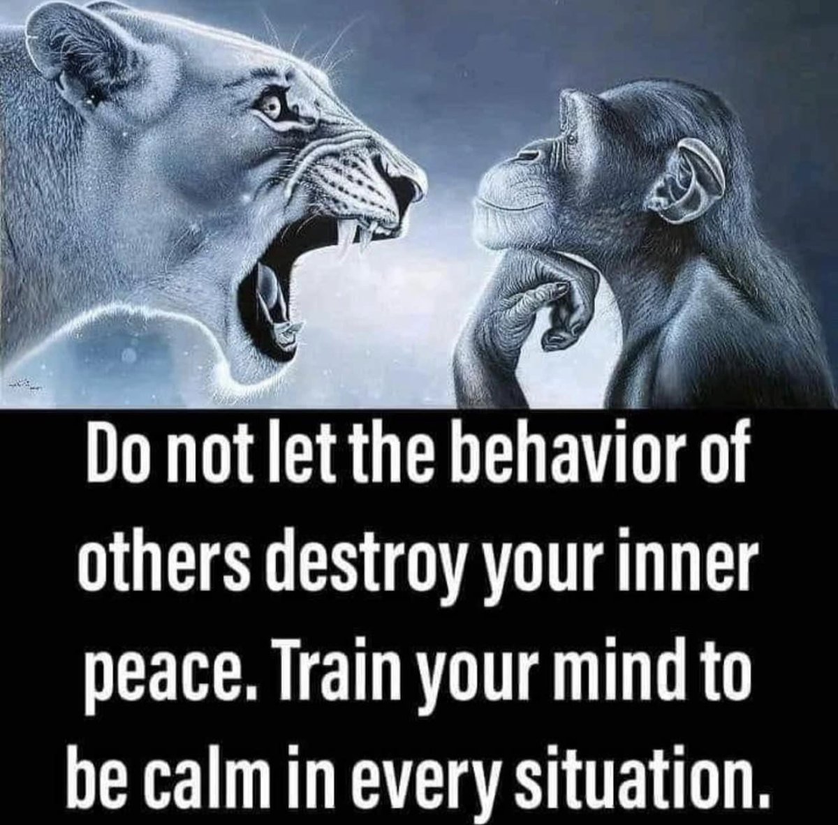 rtist418's tweet image. 