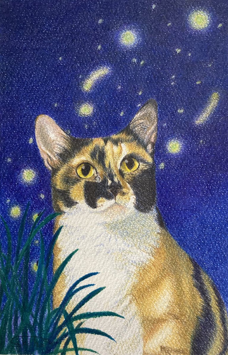 色鉛筆画「耳を傾ければSilent nightほら聴こえる」「秋めく」原画 猫 shiho(色鉛筆画) on X