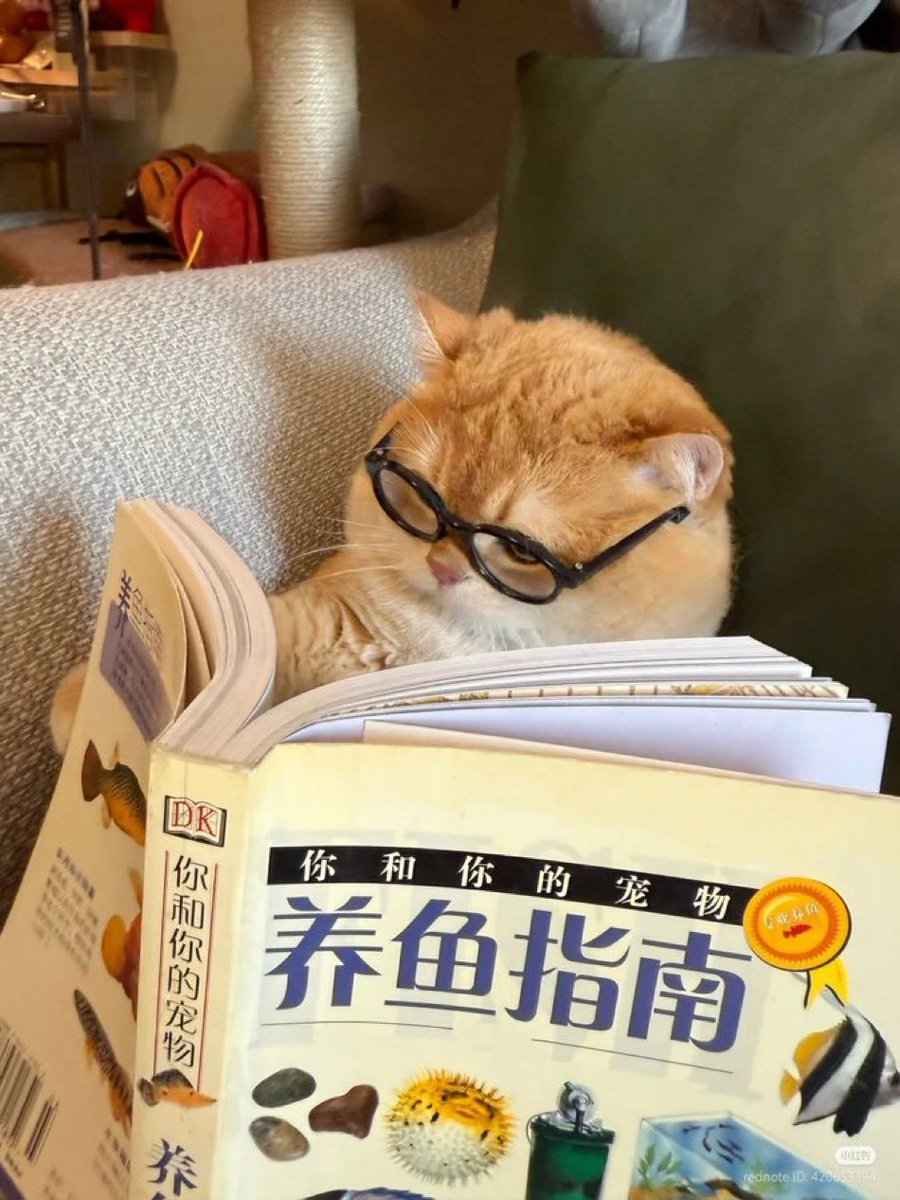 TiredOfProcess's tweet image. 