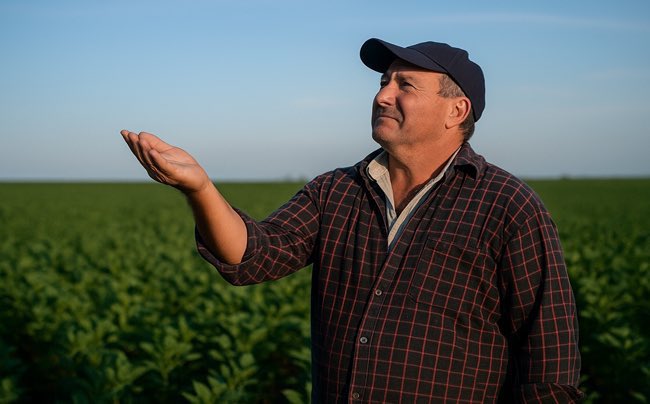 Proyecciones hasta enero☀️🌧️

Pronostico trimestral. Verano 2025/2026: las lluvias podrían ser inferiores a lo normal en la región pampeana

➡️ agroverdad.com.ar/2025/11/pronos…

 #40AñosAV #AgroTitular #AgroCordoba #agro #campo #clima #PronosticoTrimestral
