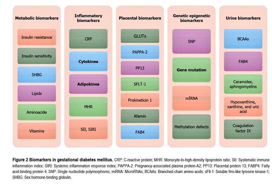 Marcos Gamboa tweet media