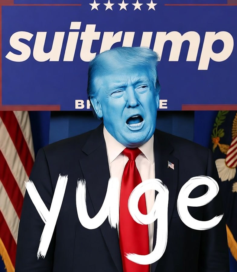 Gordon ⚡ tweet media