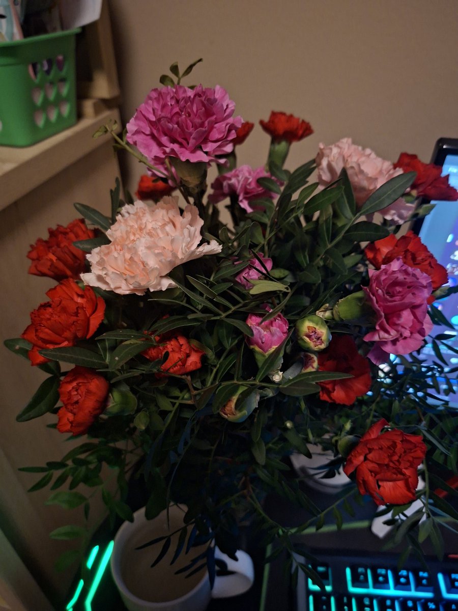 tut 🌸🐝 tweet media