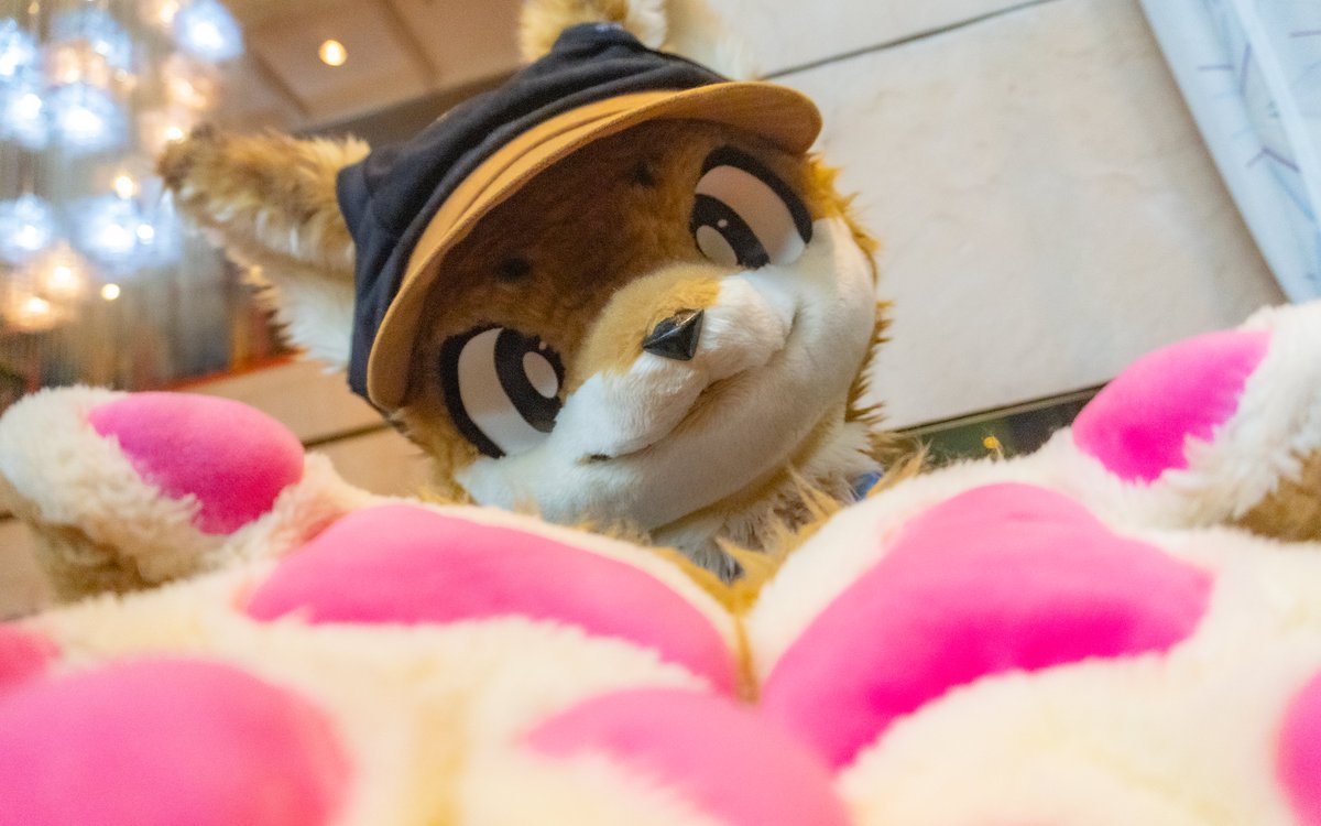 #Kemocon18 
この構図、集めてます。