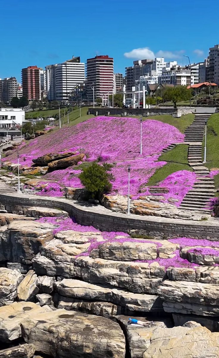 Mar del Plata ahora …