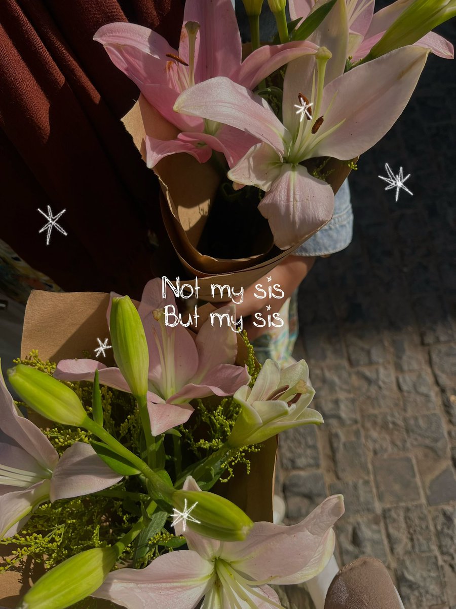HabebaHamdy672's tweet photo. Lilies https://t.co/v66Rbf6RI0