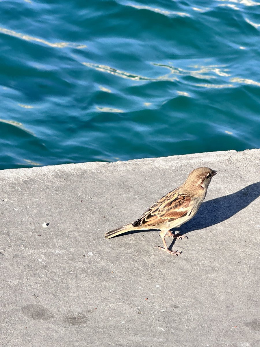 Sana en fazla hatayı/kötülüğü kim mi yapar?
Elbette gereğinden fazla değer verdiğin kişi yapar!