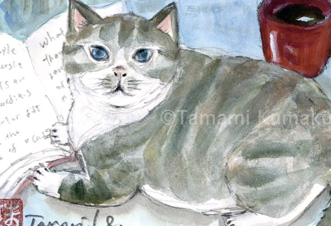 お習字している猫と、読書している猫。 ポストカードサイズ原画です