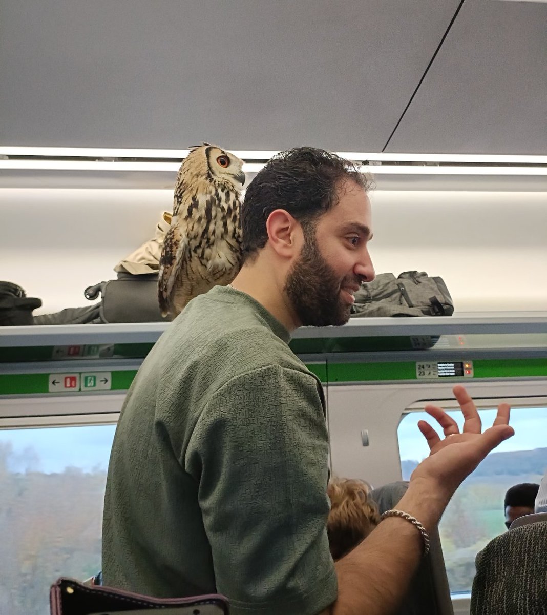 NeilShearer's tweet photo. Standard day....a man with an owl on the train... https://t.co/jeUmPvRCUF