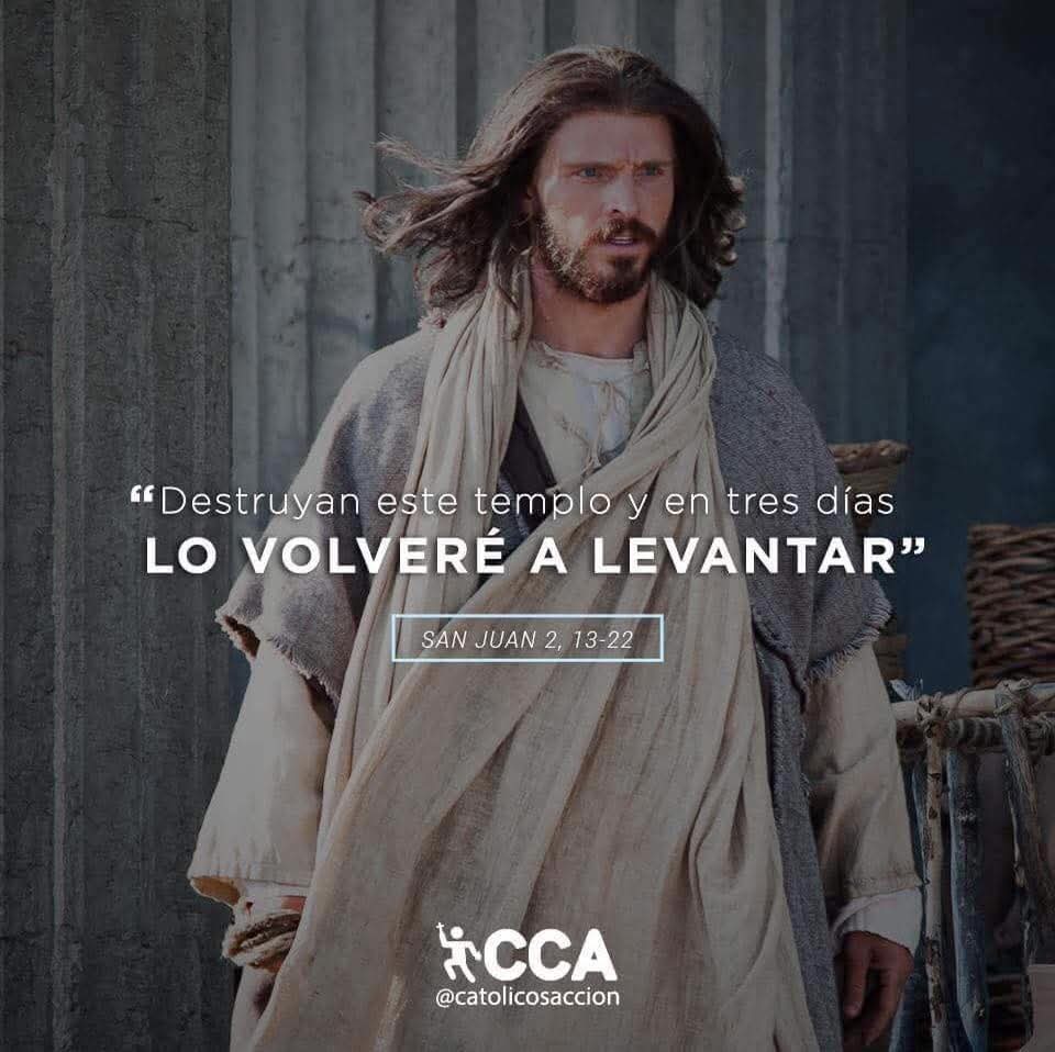 ⚪ ORDINARIO, FIESTA
DEDICACIÓN A LA BASILICA DE SAN JUAN DE LETRAN 
"Destruyan este templo y yo lo reedificare en tres días"
<a href="/LilianaSnchez9/">Liliana Sánchez 🇦🇷♌🦁</a> <a href="/poctavio65/">Octavio Martínez</a> <a href="/AgustnGonzlezO1/">Padre Agustín G.O</a> <a href="/Pdre_Rafa/">Padre Rafa</a> <a href="/ximetar/">Joaquin C Guardiolaﻥ</a> <a href="/jalisco52/">Unreal</a> <a href="/EliMorales0837/">Eli Morales</a> <a href="/irmaalvarez3210/">@IrmaAlvarez3210</a> <a href="/ggabins/">gabriela nuñez 🇻🇦</a> <a href="/newkike1/">@newkike</a> <a href="/_GabyRubio/">Gabriela</a> <a href="/ElsaCasP/">Elsa Castillo</a>