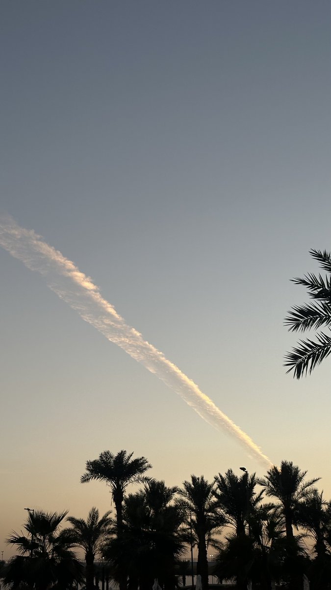 نخل و غيم ☁️