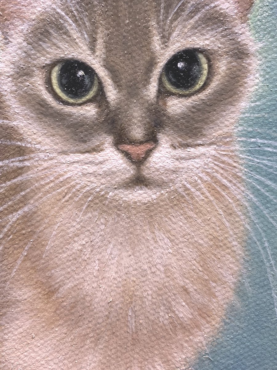 shiho ohashi（猫・風景画家） on X