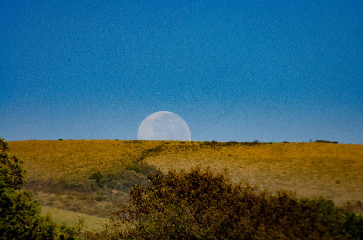 Sandy Espinoza F tweet media