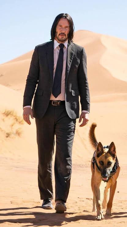 AndyJnr ° Umaru  tweet media