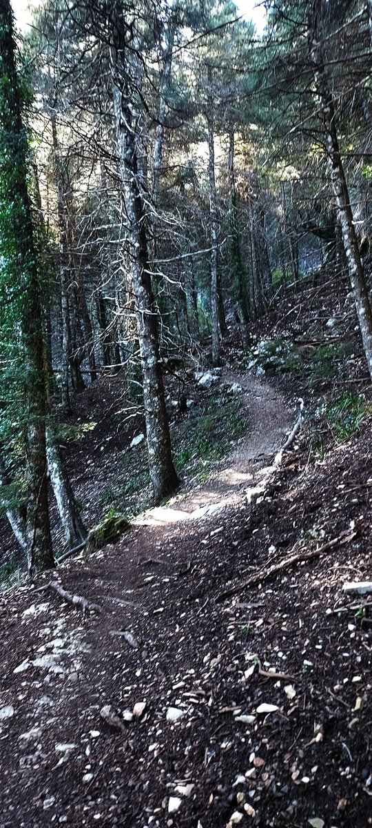 Karnaplosky's tweet photo. Yo, ya.
#Pinsapar #SierraGrazalema #Trail #TrailRunning https://t.co/YG658JjMPw