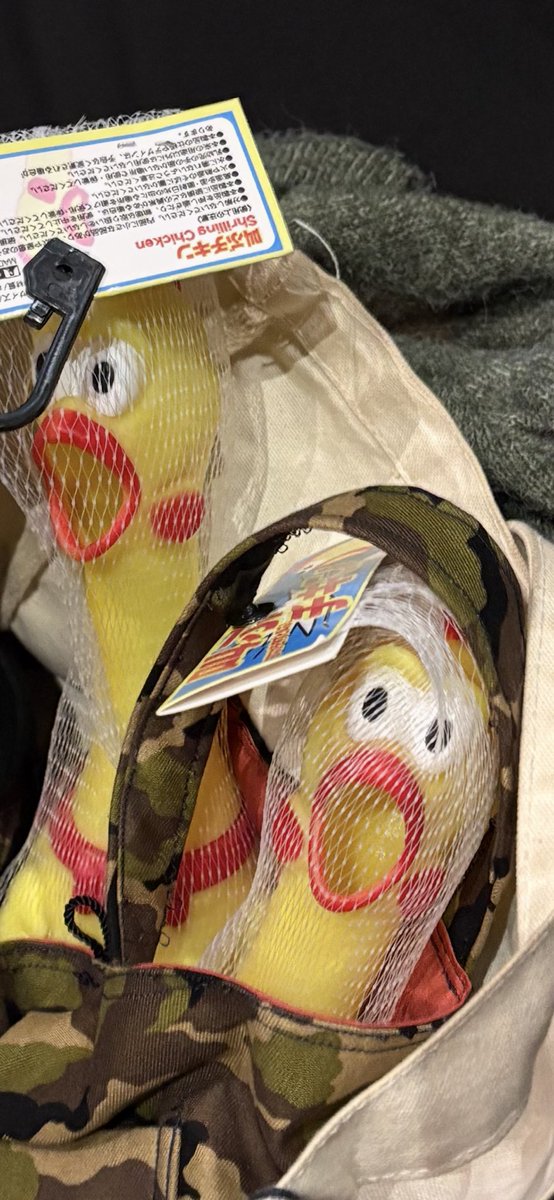 mitoriz千葉ANGAありがとうございました　ANGAはいつも独特な緊張感があり身が引き締まります