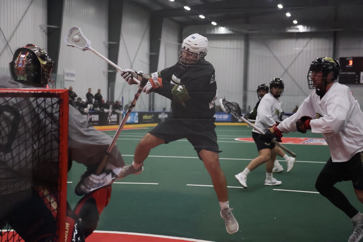 Knighthawks PR tweet media