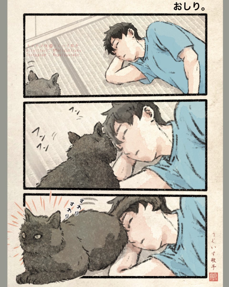 ねこ様 Amazon.co.jp: ZENIX DESIGN TECH iPhone14 用 iPhone13 用 手帳型