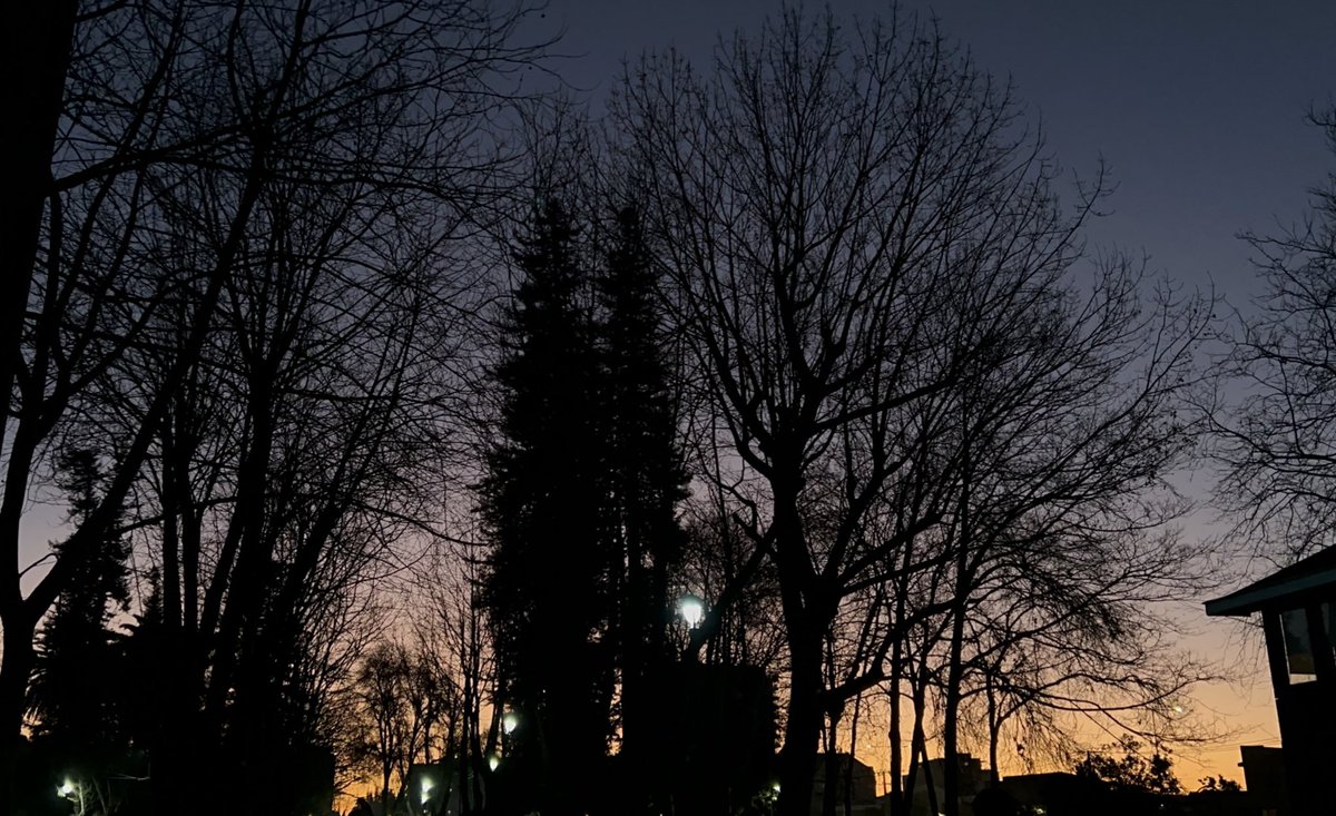 mindumping's tweet image. Life outside of twt 🤎🌾