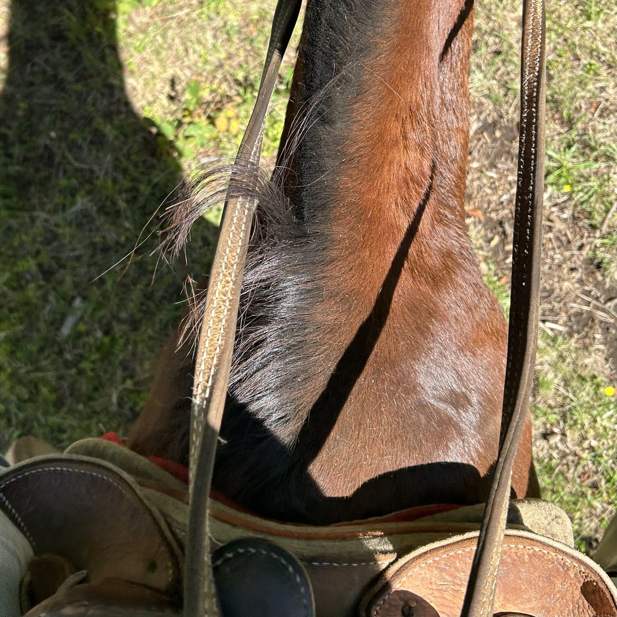 mindumping's tweet image. Life outside of twt 🤎🌾