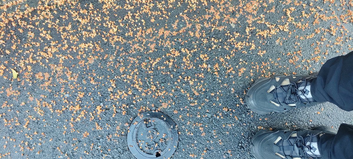 くう太郎 くう. on X