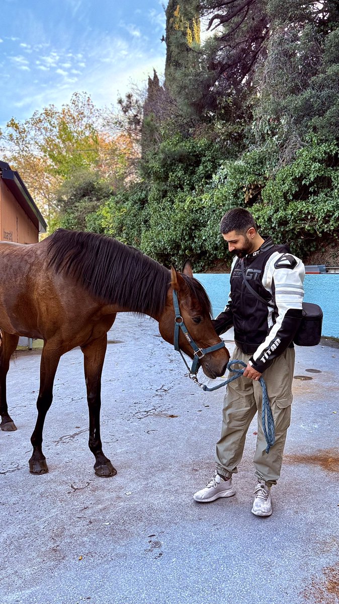 .. at olmak istersin bazen.☘️