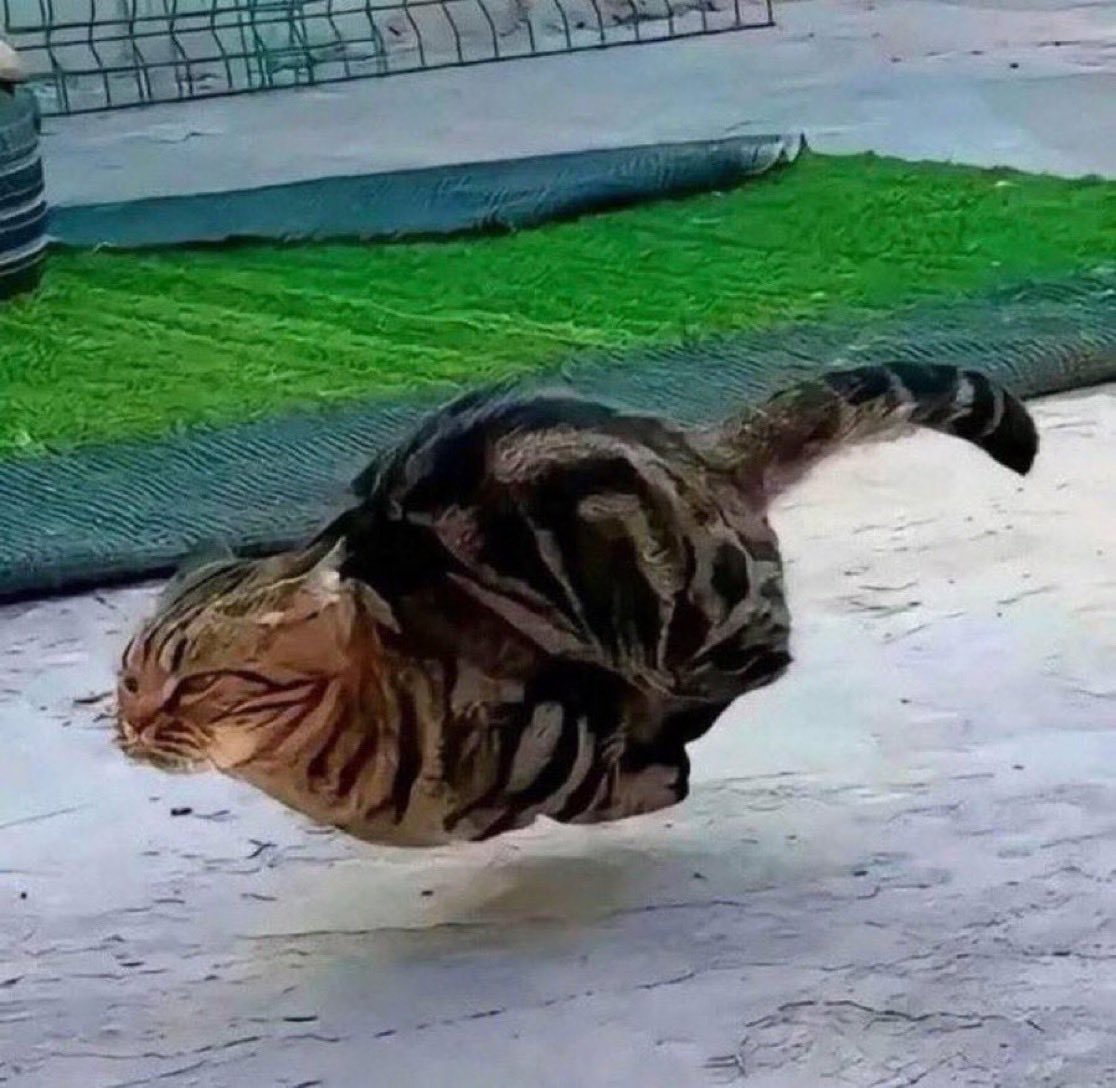 instead of texting “on my way” i’m just gonna start sending this