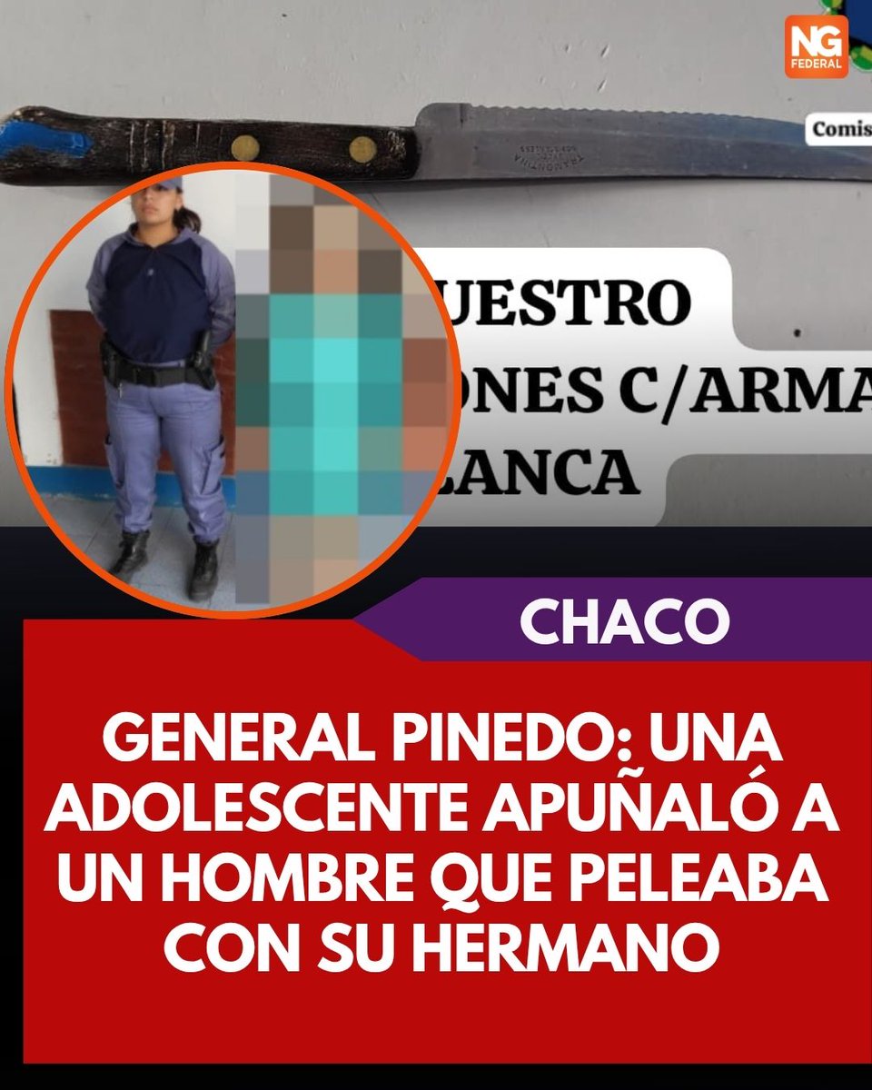 General Pinedo: Una adolescente apuñaló a un hombre que peleaba con su hermano
ngfederal.ar/noticia/07892_…