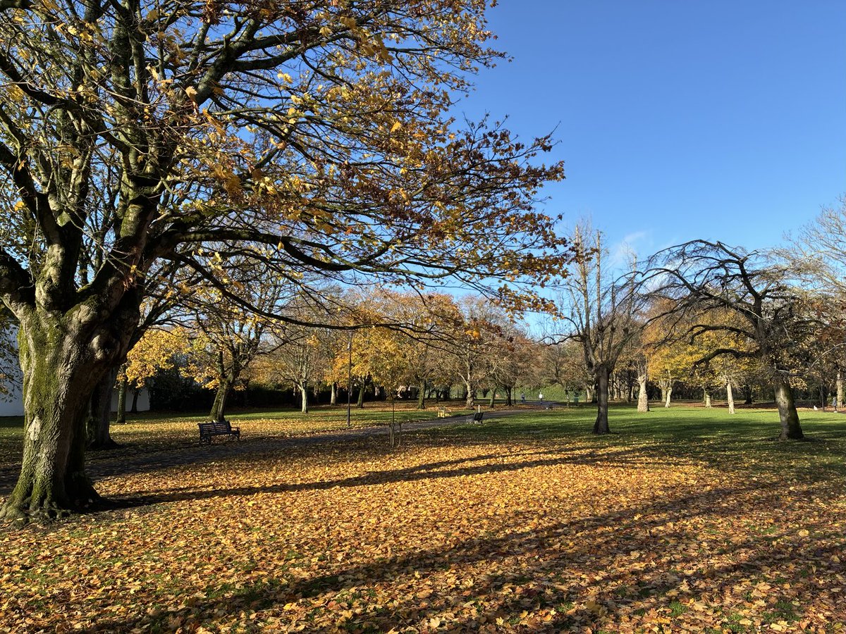 Autumn in Shaftesbury Park. Carrickfergus. ⁦<a href="/WeatherCee/">Cecilia Daly</a>⁩ ⁦<a href="/Louise_utv/">Louise Small</a>⁩ ⁦<a href="/WeatherAisling/">Aisling Creevey</a>⁩
⁦<a href="/bbcniweather/">BBC NI Weather</a>⁩ ⁦<a href="/BBCWthrWatchers/">BBC Weather Watchers</a>⁩ ⁦<a href="/Carrick_Times/">Carrick Times</a>⁩